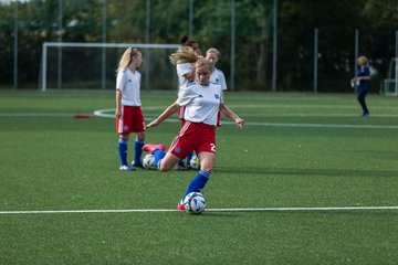 Bild 66 - C-Juniorinnen HSV - Walddoerfer : Ergebnis: 9:1